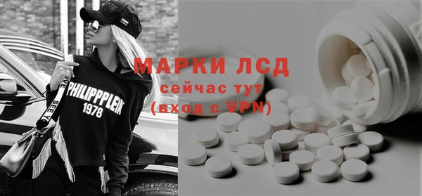 шишки Аркадак