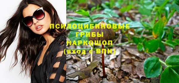 синтетический гашиш Алексеевка