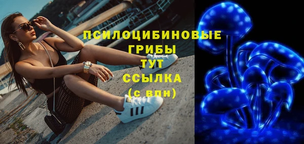 крисы Армянск