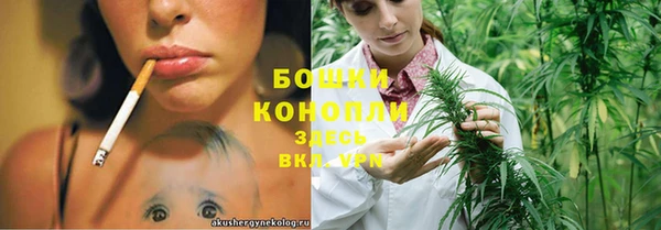 крисы Армянск
