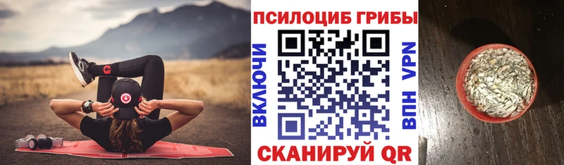 мега рабочий сайт  Киров  Галлюциногенные грибы Cubensis  купить наркотики цена 